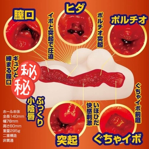 日本NPG 穿著布魯馬的女孩 - 現役篇 動漫名器